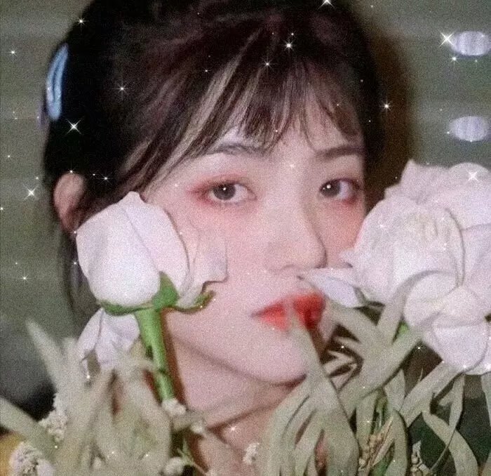 盖世霸王
